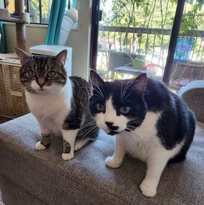 Meet your Posher, Tara